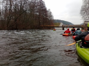 IMG_20240106_142009_194.jpg