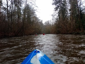 IMG_20240106_150125_894.jpg