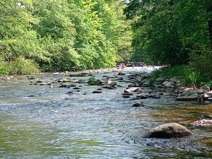 IMG_20240504_134920_383.jpg