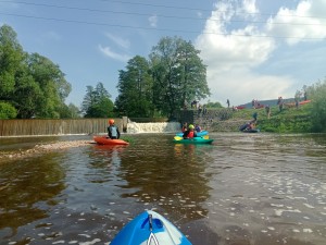 IMG_20240504_155304_628.jpg