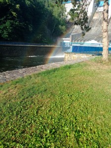 IMG_20250621_071827_230.jpg