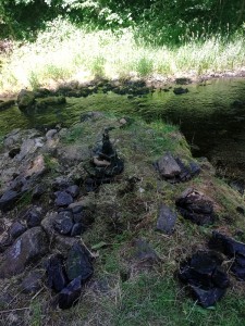 IMG_20250622_105748_073.jpg