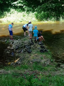 IMG_20250622_112749_049.jpg