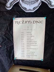 IMG_20250630_135229_696.jpg