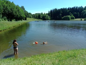 IMG_20250630_145633_153.jpg