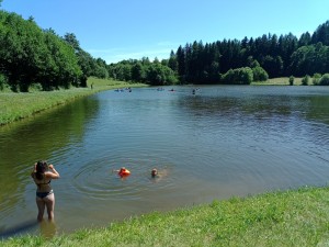 IMG_20250630_145635_265.jpg