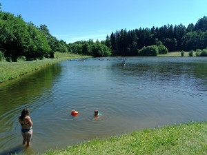 IMG_20250630_145641_729.jpg