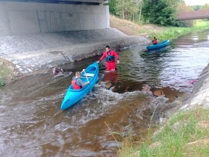 IMG_20250902_182245_898.jpg