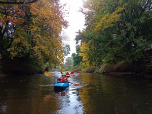 IMG_20251012_110912_423.jpg