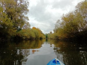 IMG_20251012_115135_621.jpg