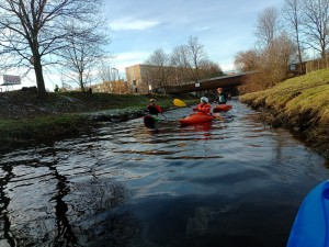 IMG_20250101_143427_617.jpg