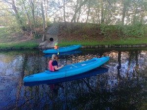 IMG_20250422_174656_762.jpg