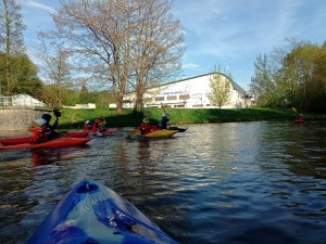 IMG_20250423_174621_034.jpg