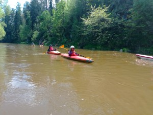 IMG_20250426_124931_699.jpg