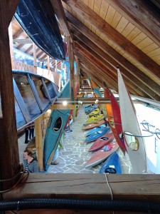 IMG_20250426_142806_939.jpg