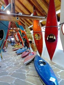 IMG_20250426_142823_017.jpg