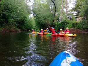 IMG_20250517_110806_292.jpg