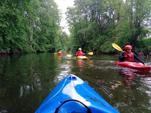 IMG_20250517_134330_258.jpg