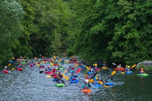 DSCF2316.jpg